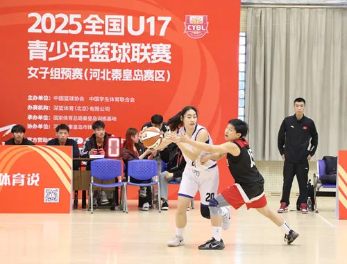 业余篮球玩家如何从前沿技术中受益_2